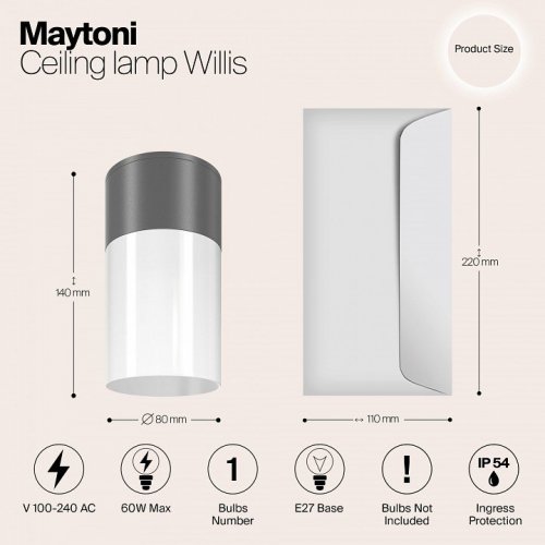 Потолочный светильник Maytoni уличный Willis O418CL-01GR