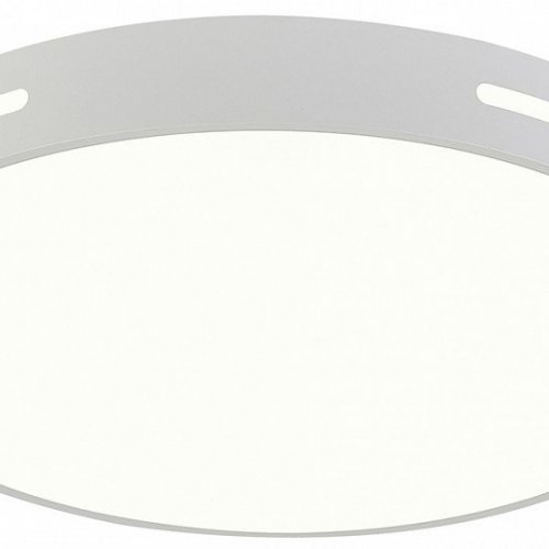 Потолочный светильник Modern LED LAMPS 81332