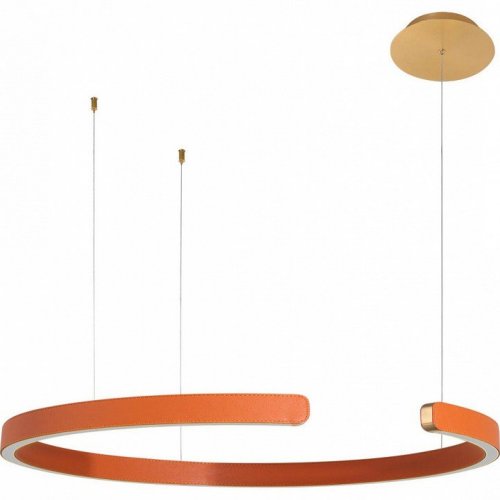 Подвесной светодиодный светильник Loft IT Ring 10025/600 Orange