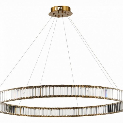 Подвесная люстра ST Luce Tivoli SL1622.313.01