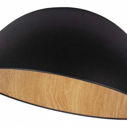 Потолочный светильник Loft IT Egg 10197/500 Black