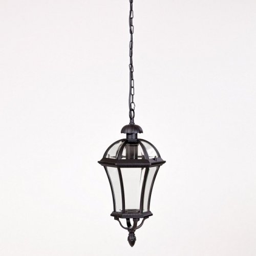 Уличный светильник подвесной Oasis Light 95205L Bl