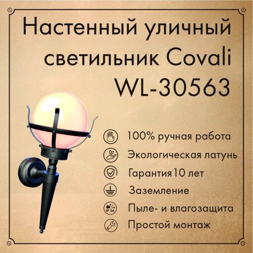 Настенный уличный светильник Covali WL-30563