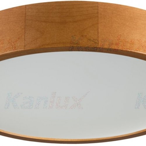 Настенно-потолочный светильник Kanlux JASMIN 370-G/O 36441