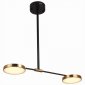 Светильник на штанге ST Luce Farone SL1605.403.02