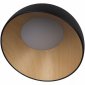 Потолочный светильник Loft IT Egg 10197/350 Black