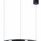 Подвесной светильник Arte Lamp Shine A2222SP-1BK