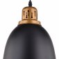 Подвесной светильник Arte Lamp Eurica A4245SP-1BK