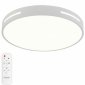 Потолочный светильник Modern LED LAMPS 81332