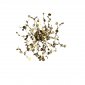 Бра Crystal Lux GARDEN AP-PL3 D400 GOLD