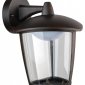 Настенный фонарь уличный Oasis Light W2622 R