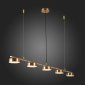 Подвесная светодиодная люстра ST Luce Pances SL6000.303.05