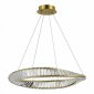 Подвесной светильник ST Luce RITORTO SL6204.301.01