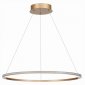 Подвесной светильник ST Luce ST604 OUT ST604.243.34