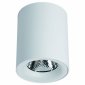 Потолочный светильник Arte Lamp Facile A5130PL-1WH