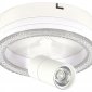 Настенно-потолочный светильник Escada 20044LED 20044SMA/01LED WH