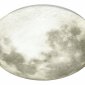 Настенно-потолочный светодиодный светильник Sonex Moon 3084/EL