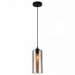 Подвесной светильник Toplight Pamella TL1222H-01AM