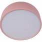 Потолочный светильник Loft IT Axel 10201/350 Pink