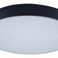 Потолочный светильник Loft IT Axel 10002/24 Black