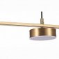 Подвесная светодиодная люстра ST Luce Pances SL6000.303.05