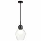 Подвесной светильник Odeon Light Blacky 5023/1