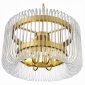 Подвесная люстра ST Luce Grosseto SL1228.203.06