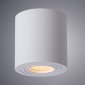 Потолочный светильник Arte Lamp Galopin A1460PL-1WH