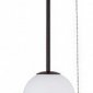 Подвесной светильник Loft IT Signal 10029PS Black