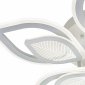 Потолочная люстра Anise 10288/10LED