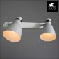 Настенно-потолочный светильник Arte Lamp Mercoled A5049AP-2WH