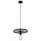 Подвесной светильник Toplight Vanessa TL1201H-01BK