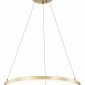 Подвесной светодиодный светильник Escada Void 10254/1LED Gold APP