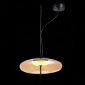 Подвесной светильник ST-Luce Helia SL6500.413.01