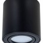 Потолочный светильник Arte Lamp Beid A1513PL-1BK