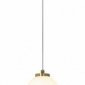 Подвесной светодиодный светильник Loft IT Pearls 10205/A